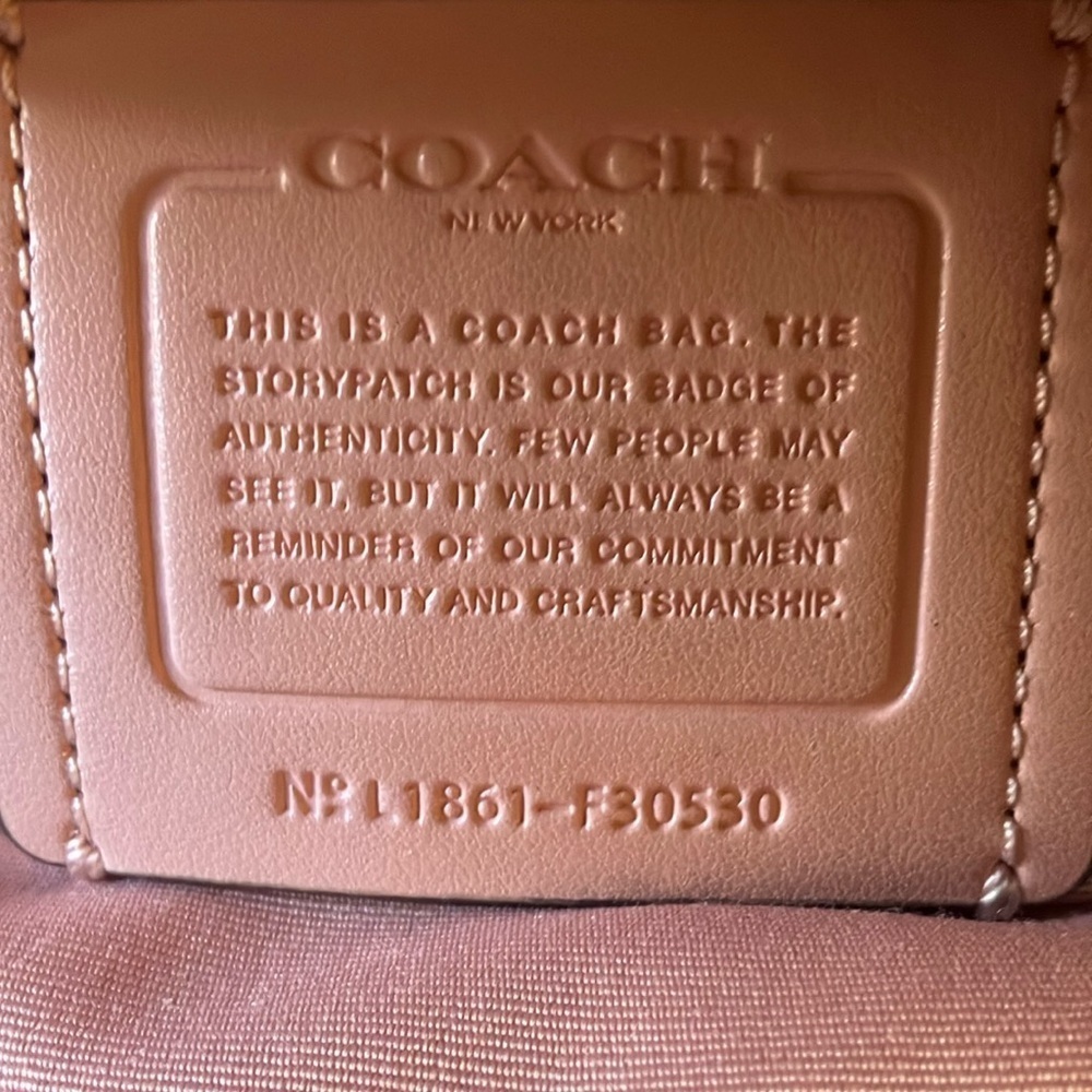 Coach: Pink Andi (F30530) Mini Leather Backpack- Silver Tone - Picture 3 of 16